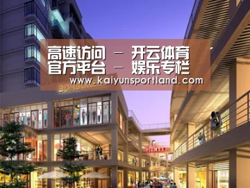 案例展示一(图1)
