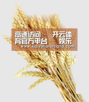 高速访问 - 开云体育官方平台 - 娱乐专栏首页