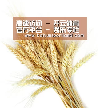 高速访问 - 开云体育官方平台 - 娱乐专栏首页
