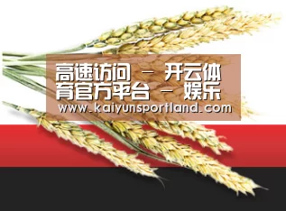 高速访问 - 开云体育官方平台 - 娱乐专栏首页