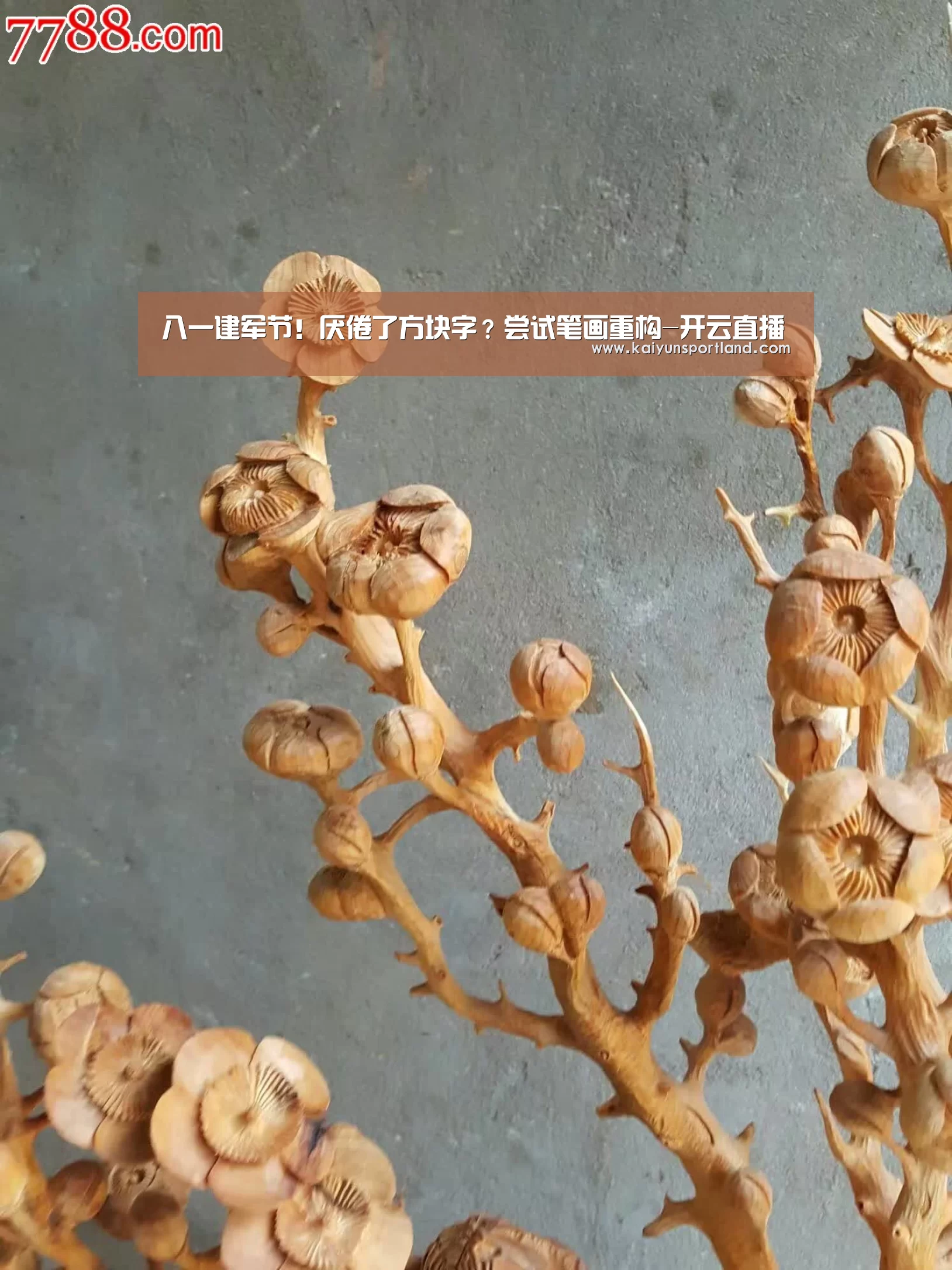 开云体育
