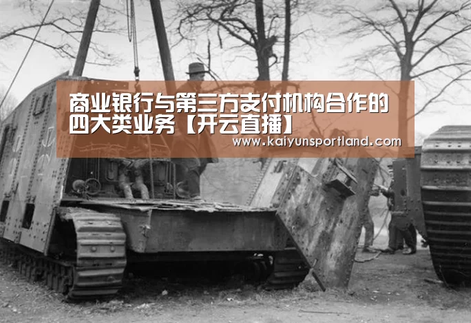 商业银行与第三方支付机构合作的四大类业务【开云直播】(图2) 开云快讯