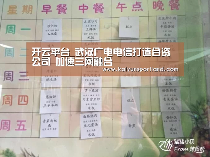 开云平台_武汉广电电信打造合资公司 加速三网融合(图1) 开云快讯