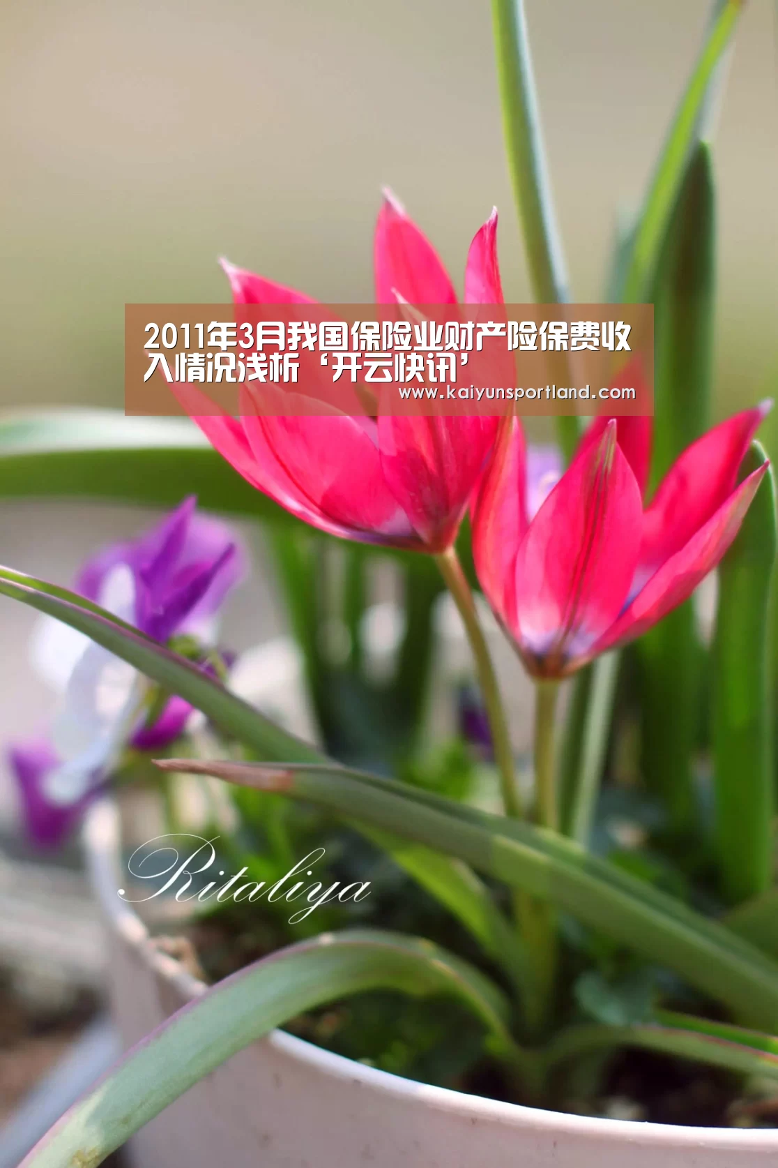 2011年3月我国保险业财产险保费收入情况浅析‘开云快讯’(图1) 开云平台
