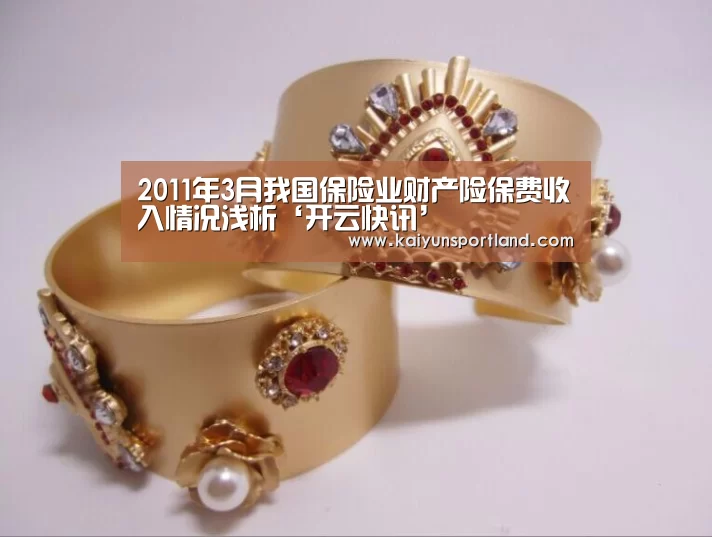 2011年3月我国保险业财产险保费收入情况浅析‘开云快讯’(图4) 开云体育